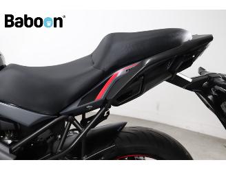 Kawasaki Versys 650 picture 21