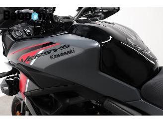 Kawasaki Versys 650 picture 18