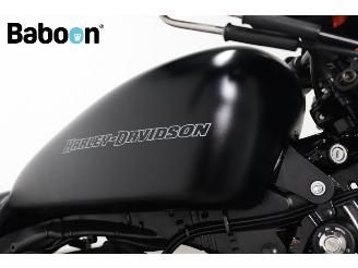 Harley-Davidson XL 883 N Sportster Iron picture 18