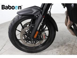 Triumph Tiger 1200 GT Explorer picture 14