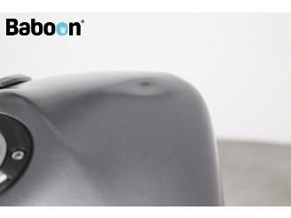 Yamaha MT-09 ABS picture 11