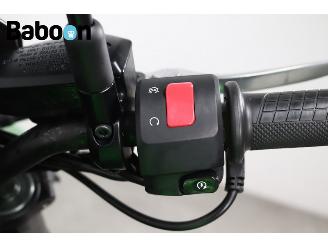 Kawasaki Z 900  picture 15