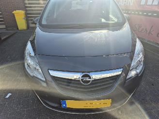 Opel Meriva 1.4 cosmo picture 8