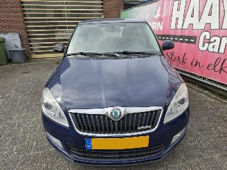 Skoda Fabia 1.2 tdi greenline picture 7