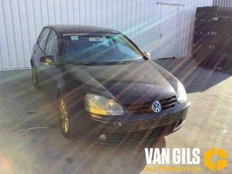 Volkswagen Golf  picture 3