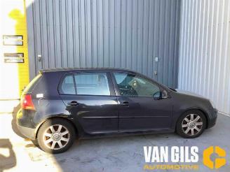 Volkswagen Golf  picture 7