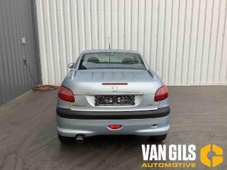 Peugeot 206  picture 1