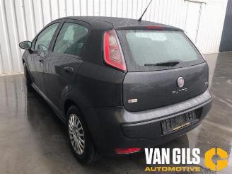 Fiat Punto Punto Evo (199), Hatchback, 2009 / 2012 1.3 JTD Multijet 85 16V Euro 5 picture 5