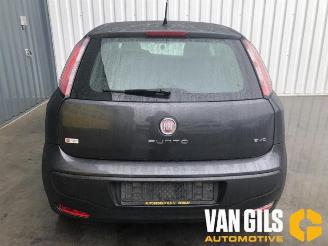 Fiat Punto Punto Evo (199), Hatchback, 2009 / 2012 1.3 JTD Multijet 85 16V Euro 5 picture 6