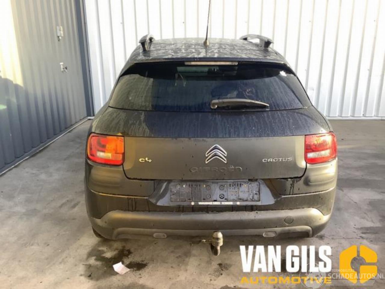 Citroën C4 cactus C4 Cactus (0B/0P), Hatchback 5-drs, 2014 1.6 Blue Hdi 100