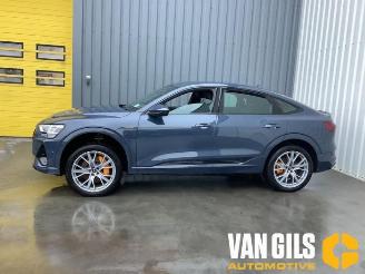 Audi E-tron e-tron Sportback (GEA), SUV, 2019 / 2023 55 picture 22