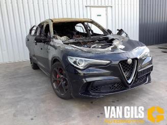 Alfa Romeo Stelvio Stelvio (949), SUV, 2017 2.9 Bi-Turbo V6 24V Q4 picture 5