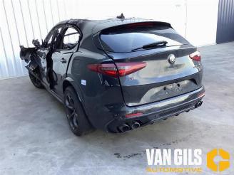 Alfa Romeo Stelvio Stelvio (949), SUV, 2017 2.9 Bi-Turbo V6 24V Q4 picture 8