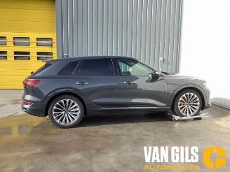 Purkuautot passenger cars Audi E-tron e-tron (GEN), SUV, 2018 / 2023 55 quattro 2023/1