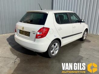 Skoda Fabia  picture 8