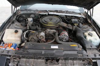 Pontiac Firebird 5.0 Trans Am picture 12