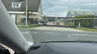 Skoda Octavia combi 1.0 TSI BNS Edition picture 14
