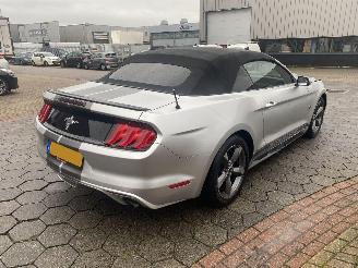 Ford Mustang 3.7 V6 picture 5