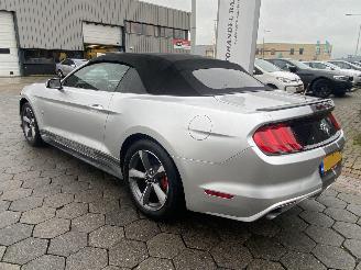 Ford Mustang 3.7 V6 picture 7