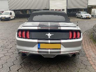 Ford Mustang 3.7 V6 picture 6