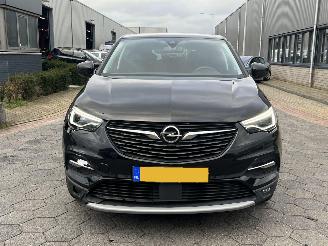 Opel Grandland X 1.2 Turbo Business Executive picture 2