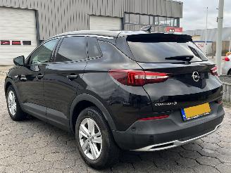 Opel Grandland X 1.2 Turbo Business Executive picture 6