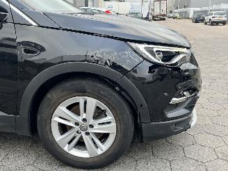 Opel Grandland X 1.2 Turbo Business Executive picture 9