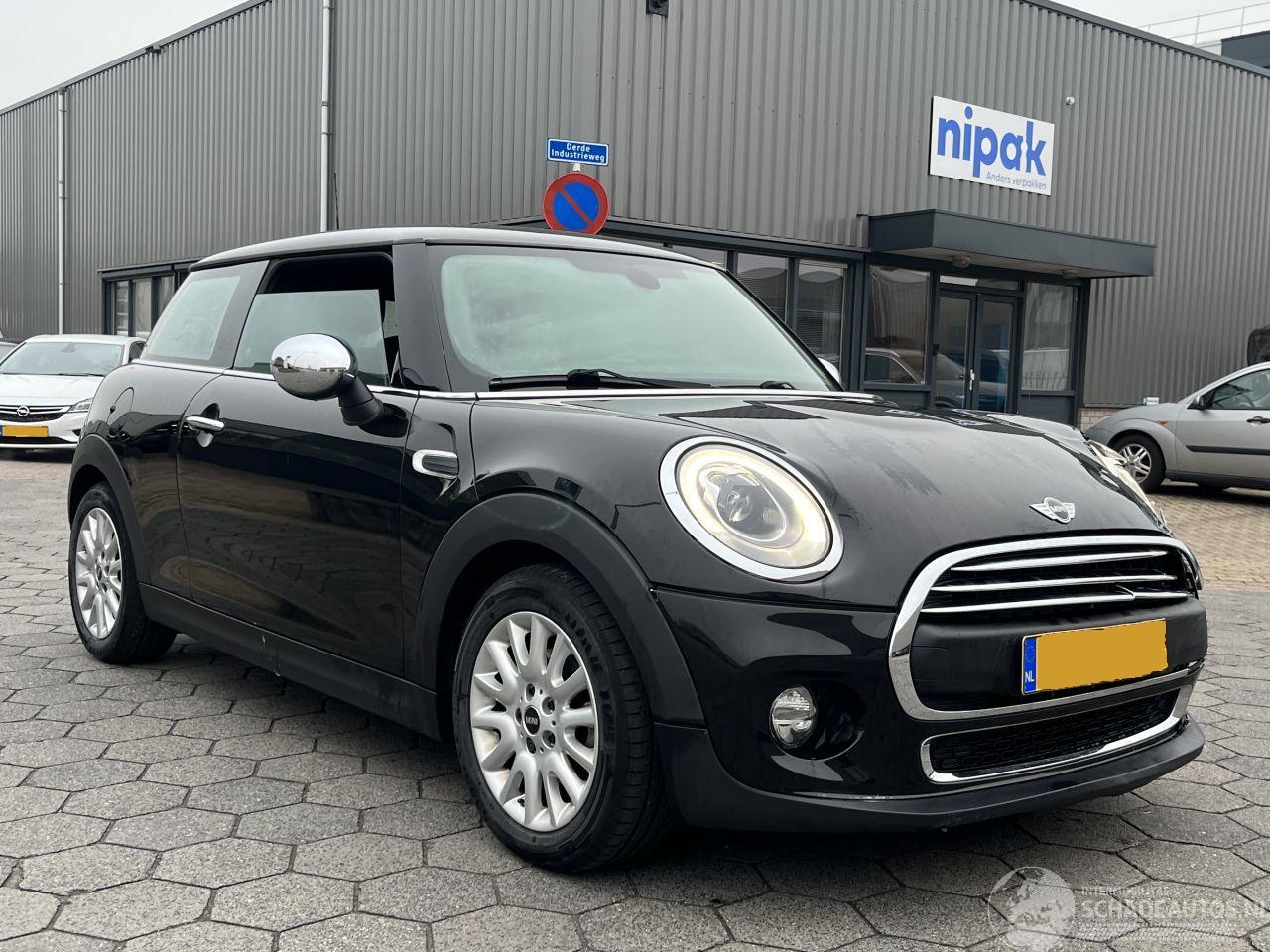 Mini One 1.2 One Salt Business