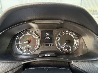 Skoda Scala 1.0 TSI Ambition picture 19