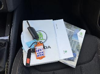 Skoda Scala 1.0 TSI Ambition picture 22