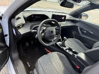 Peugeot 2008 1.2 PureTech 100 Allure picture 19