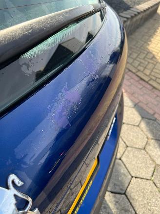 Peugeot 207 1.6 VTi XS picture 6