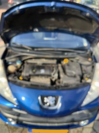 Peugeot 207 1.6 VTi XS picture 5