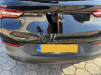 Opel Grandland X 1.2 Turbo Online Edition picture 8