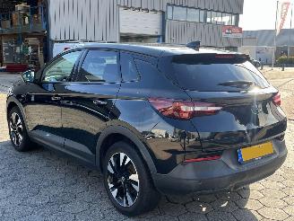 Opel Grandland X 1.2 Turbo Online Edition picture 6