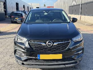 Opel Grandland X 1.2 Turbo Online Edition picture 2