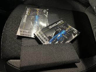 Opel Grandland X`1.2 Turbo Business + picture 21