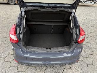 Ford Focus 1.0 EcoBoost Titanium picture 13