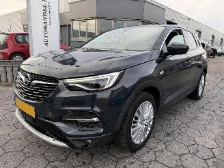 Avarii autoturisme Opel Grandland X 1.2 Turbo Business Executive 2019/9