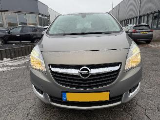 Opel Meriva 1.4 Turbo Design Edition picture 2