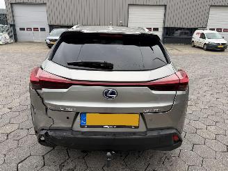 Lexus UX 250h Preference Line picture 6
