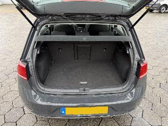 Volkswagen e-Golf E-DITION picture 10