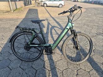 Stella  Tenway Ago T picture 2