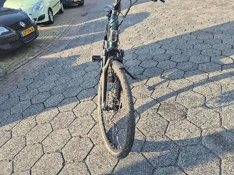 Stella  Tenway Ago T picture 10