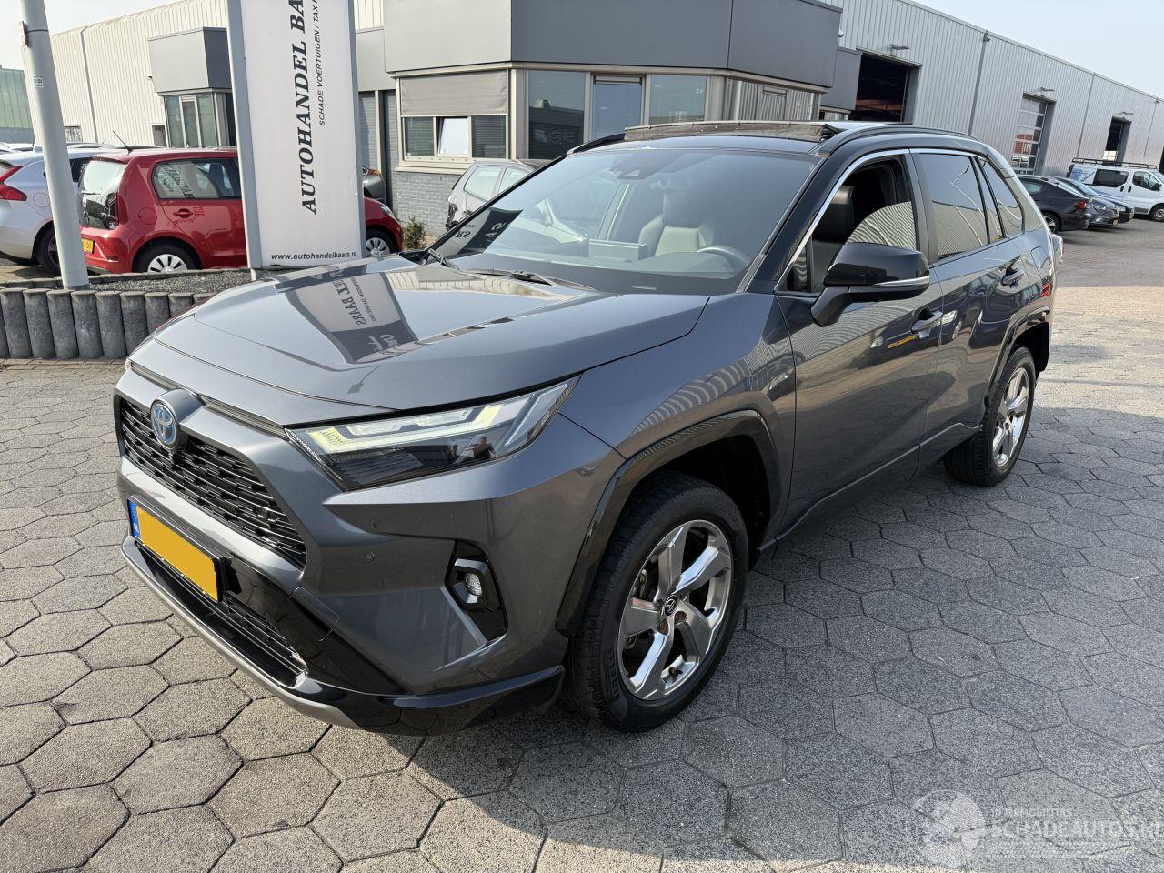 Toyota Rav-4 2.5 Hybrid AWD Style pano