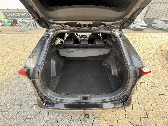 Toyota Rav-4 2.5 Hybrid AWD Style pano picture 12