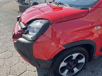 Fiat Panda 1.0 Hybrid City Cross picture 10