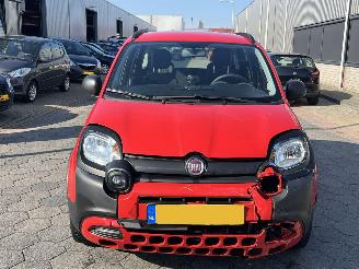 Fiat Panda 1.0 Hybrid City Cross picture 2