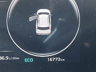 Kia Niro 1.6 GDi Hybrid DynamicLine picture 16