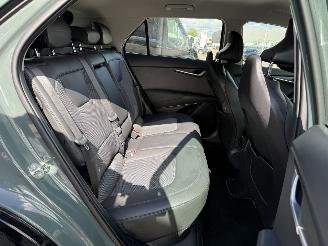 Kia e-Niro EV DynamicLine 64.8 kWh picture 12